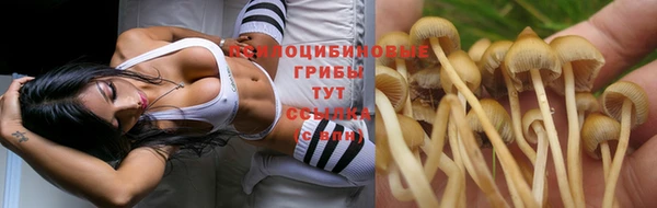 а пвп мука Кукмор