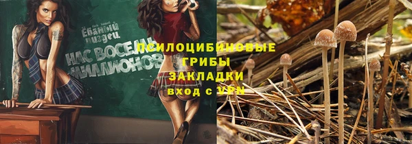 а пвп мука Кукмор